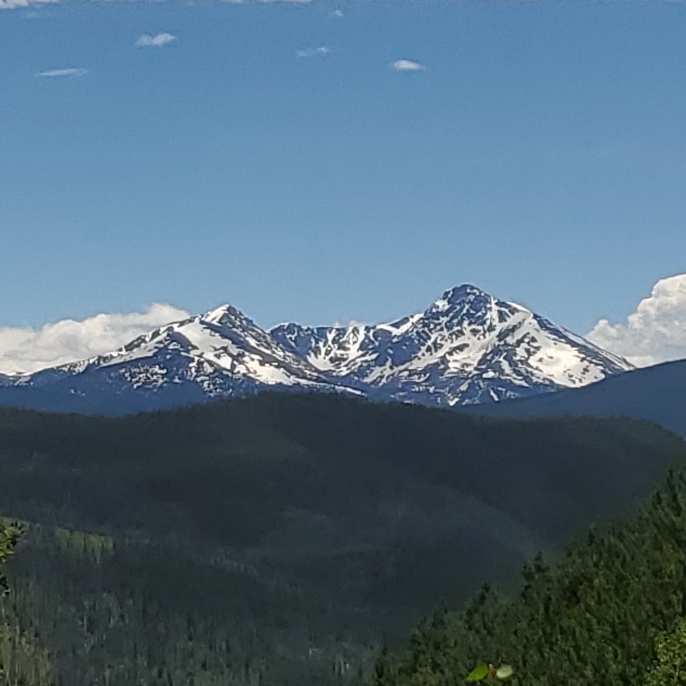 Meet your Posher, Joe